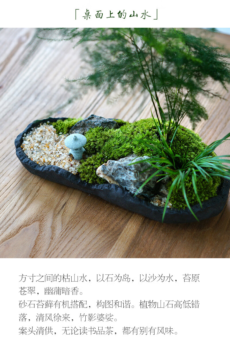 枯山水文竹盆景日式禅意粗陶苔藓菖蒲盆栽书房客厅办公茶桌面绿植 枯