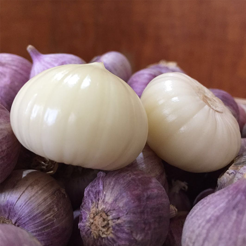 新鲜现挖紫皮独蒜头蔬菜红皮鲜姜蒜蒜子5糖醋独蒜