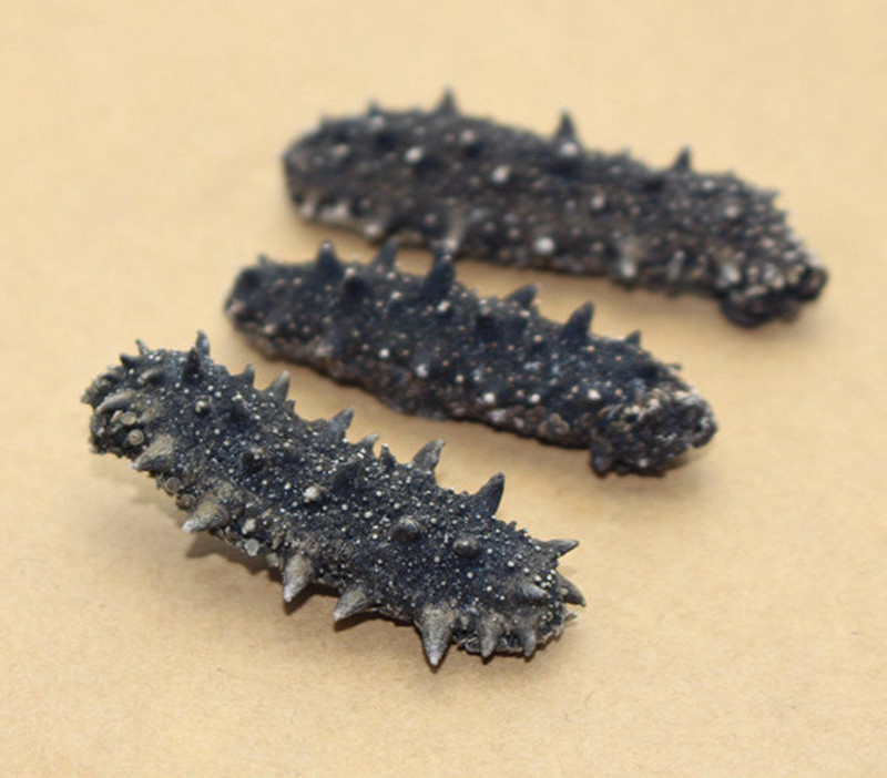 海参淡干海参干货50g剌参67年干海参