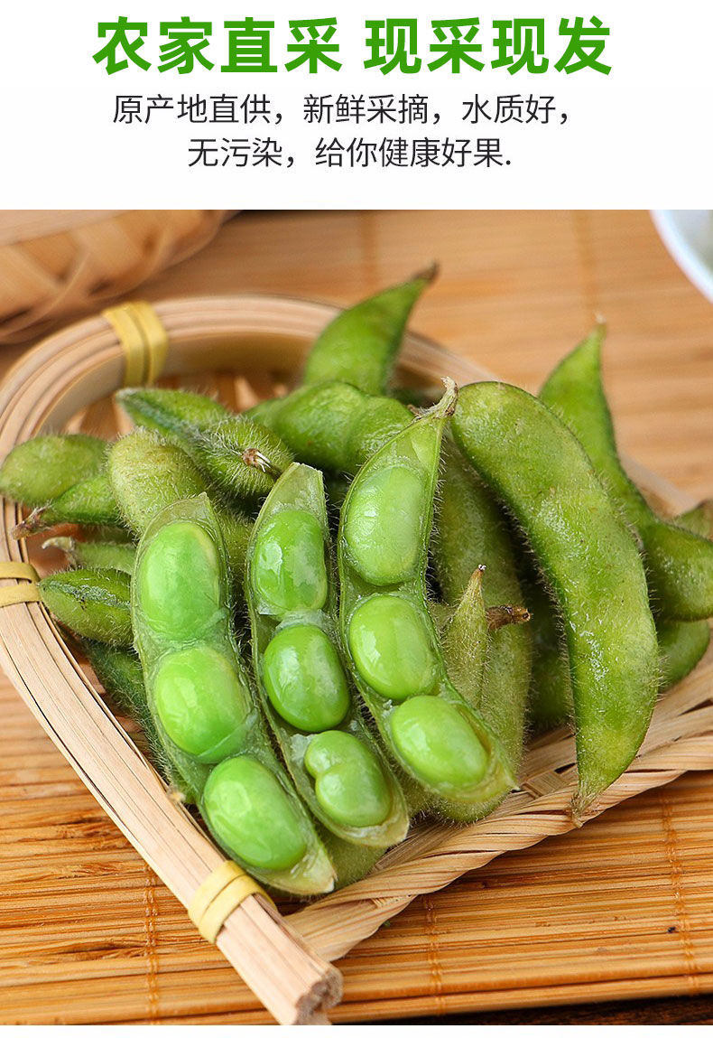 四川新鲜毛豆农家带壳生毛豆角现摘青大豆当季蔬菜颗粒饱满 新鲜毛豆5