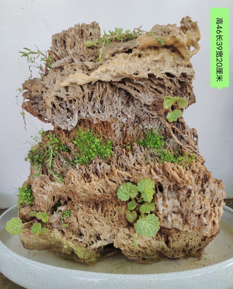 吸水石原石上水石假山盆景客厅新流水装饰摆件造景真石头 巧克力色