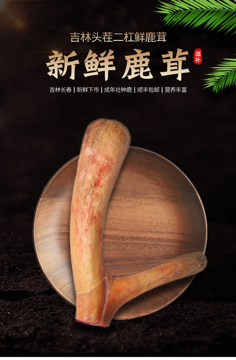 鹿茸整支 当季新鲜头茬梅花鹿鲜鹿茸 正吉林鹿乡产二杠鹿茸泡酒 50克