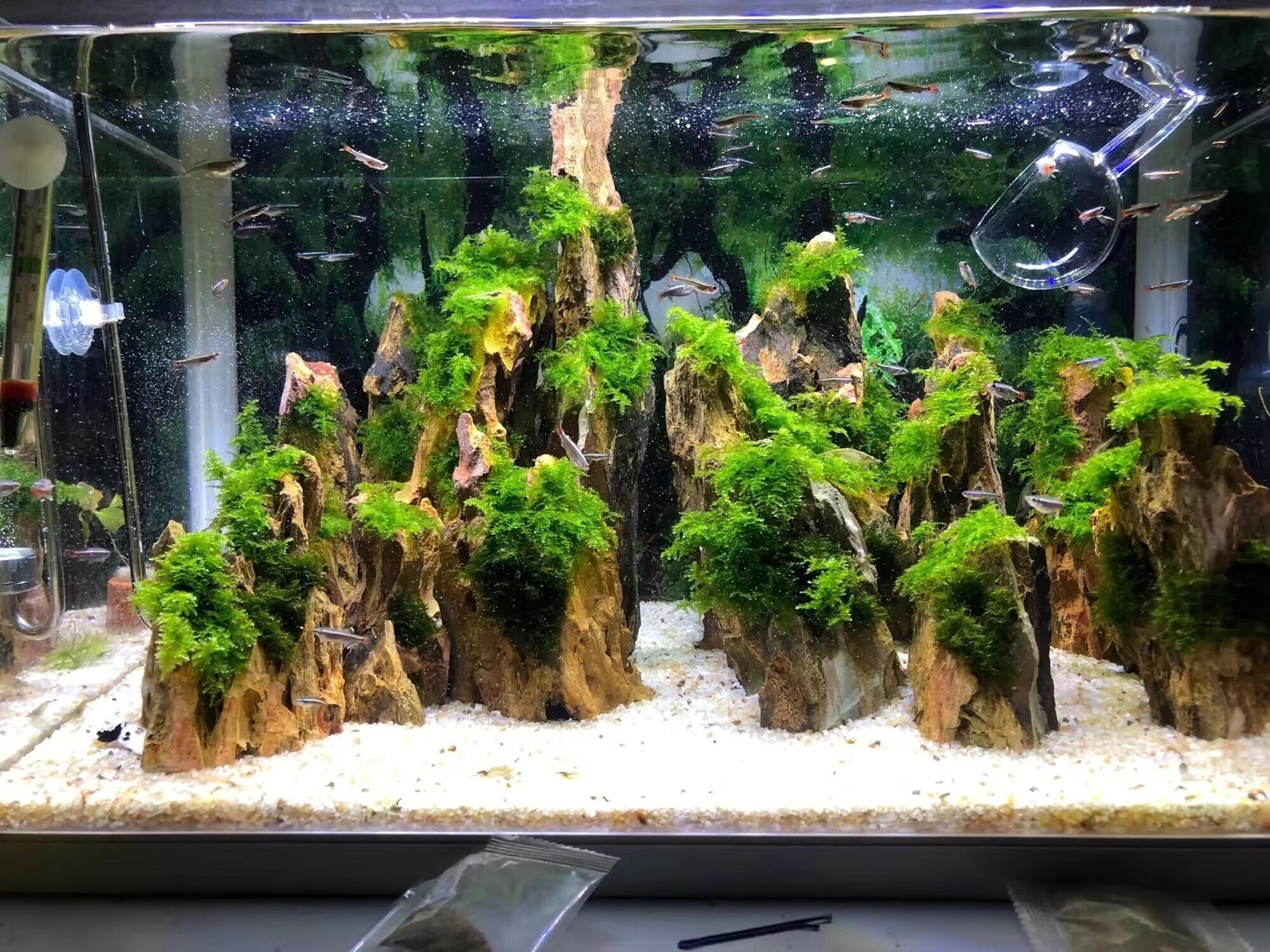 鱼缸造景石景观石天然松皮石假山石水草缸造景盆景装饰石水草造景 3