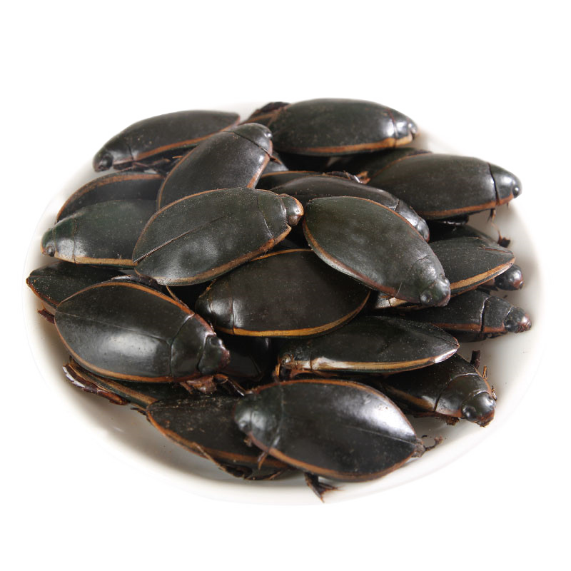 中药原材金边龙虱干货 水蟑螂 水鳖虫 射尿龟 水龟子金边龙 1000克