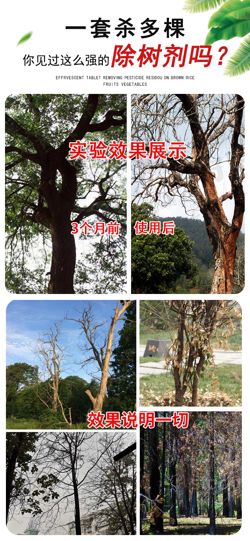 杀树神器环嗪酮除树烂根剂杀树王除树剂大树杀树灭竹能杀死树的药5袋