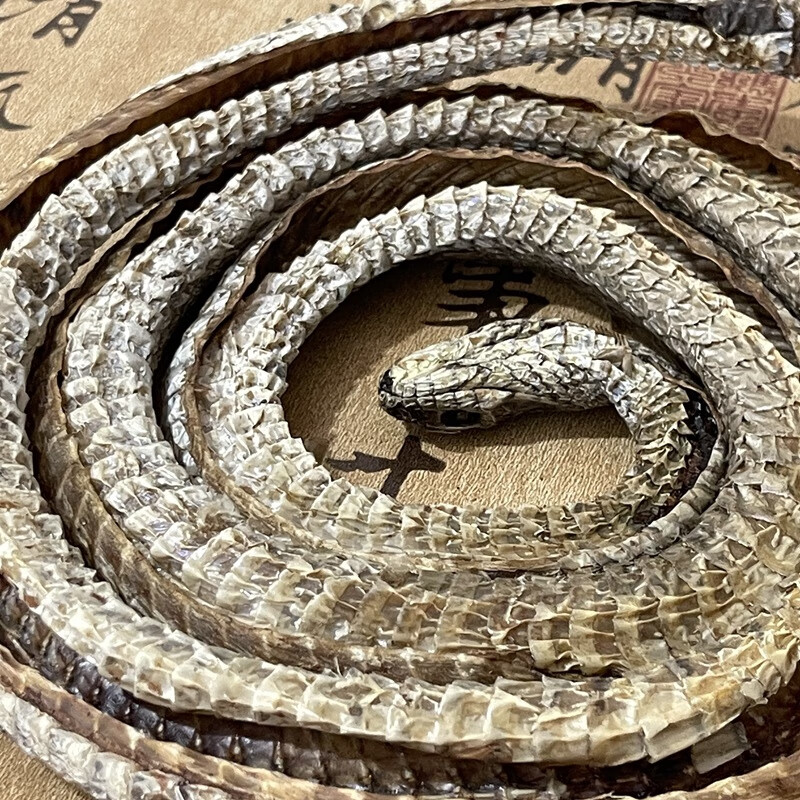 批发中药材 乌梢蛇 四川乌稍蛇 乌蛇 免费打粉 实物拍摄【图片 价格