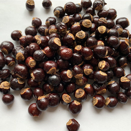 桂圆核干桂圆核龙眼核桂圆骨元肉核元肉籽中材桂圆核3斤