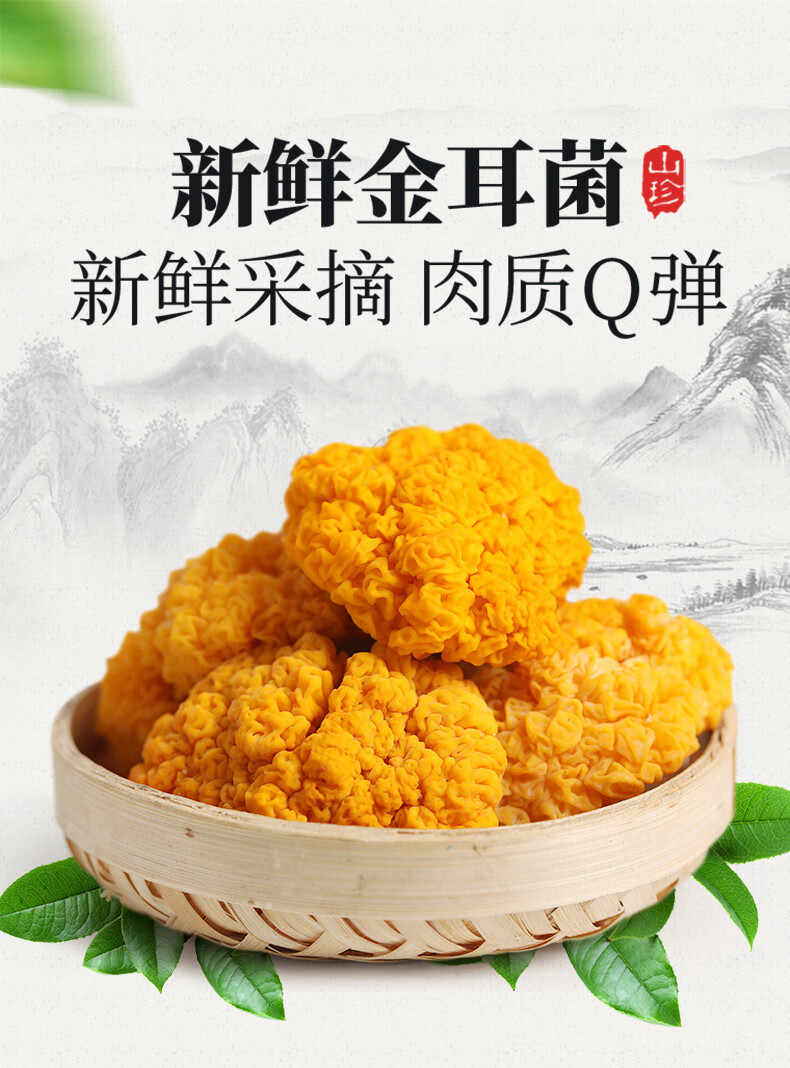 新鲜金耳菌云南特产黄金耳黄木耳非干货银耳菌金耳黄