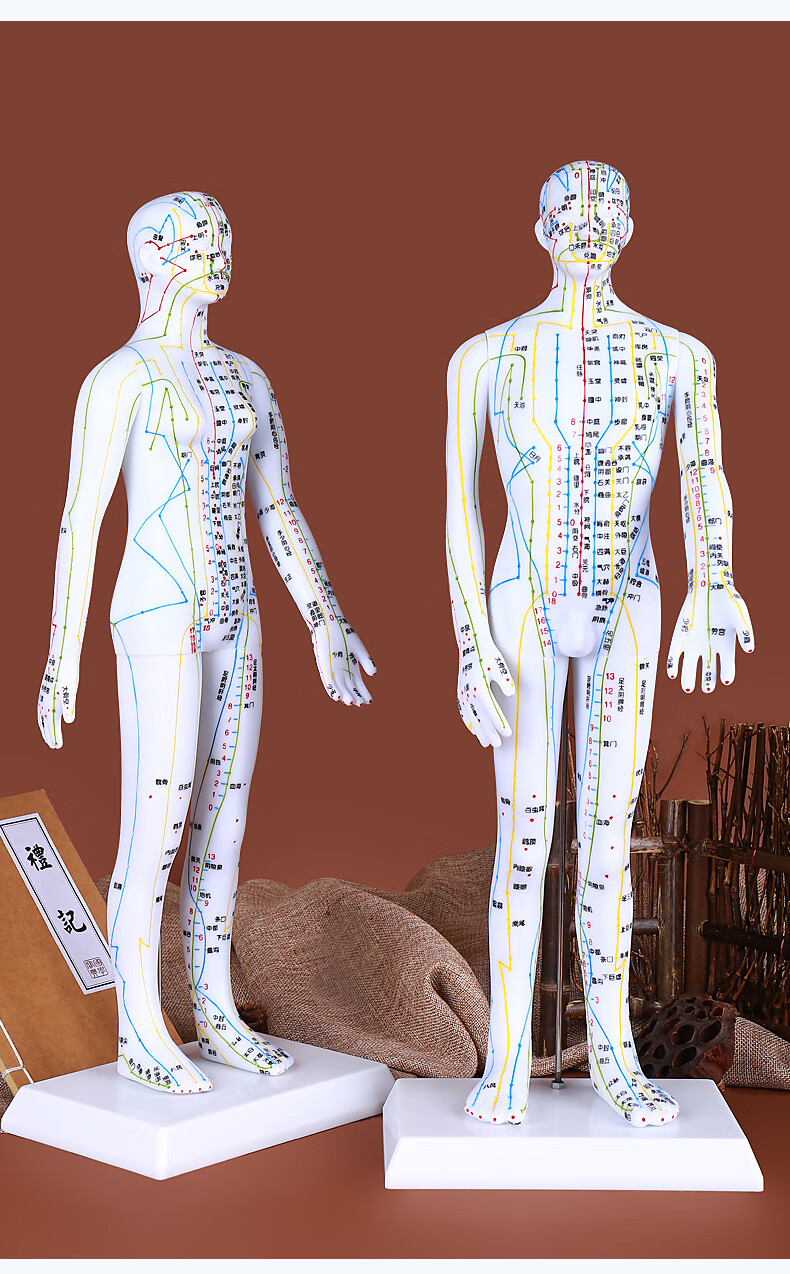 经络通穴位男女刻字全身中医针灸按摩教学医学小铜人家用yz 小儿推拿
