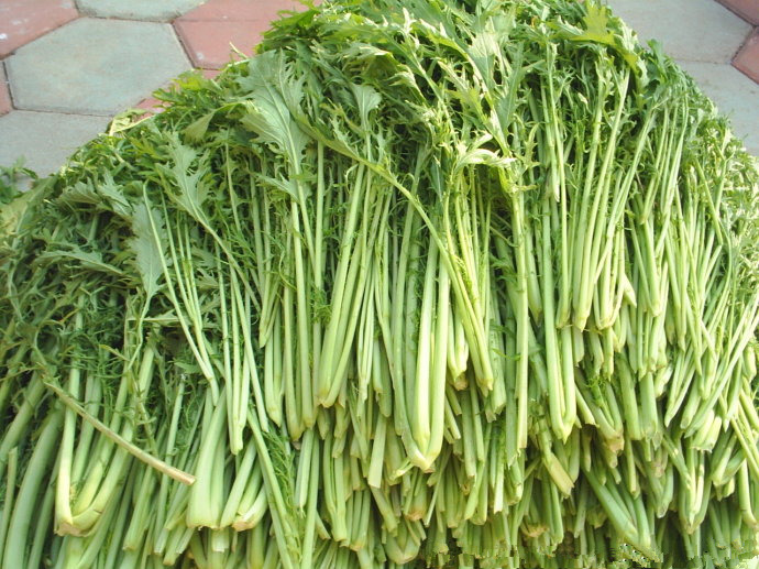 jd物流农家5斤新鲜雪里蕻雪里红雪菜春不老雪里翁青菜蔬菜过年送礼送