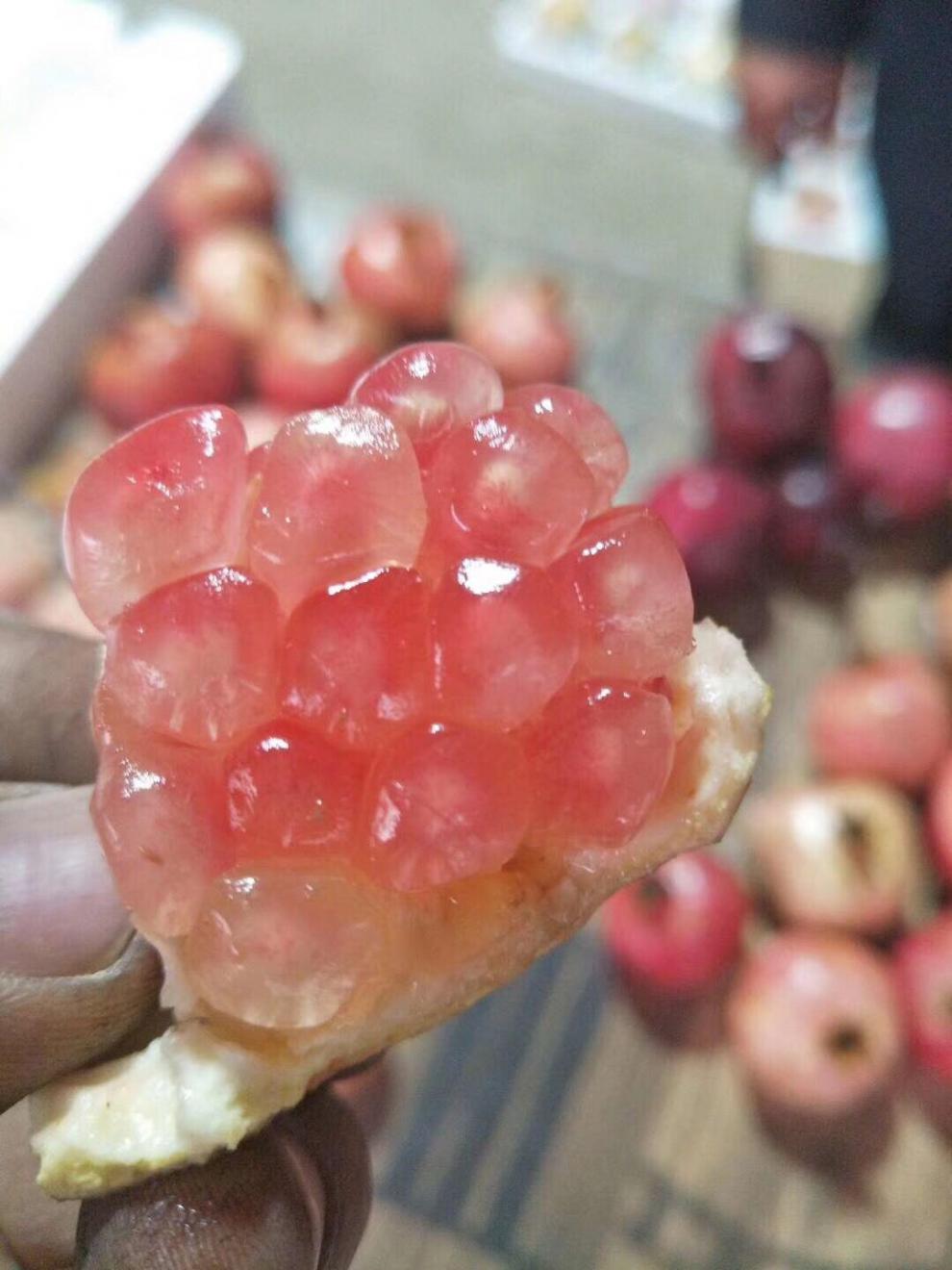 安徽特产怀远石榴红玛瑙玉石籽薄皮新鲜水果现摘大果 怀远甜石榴 【6