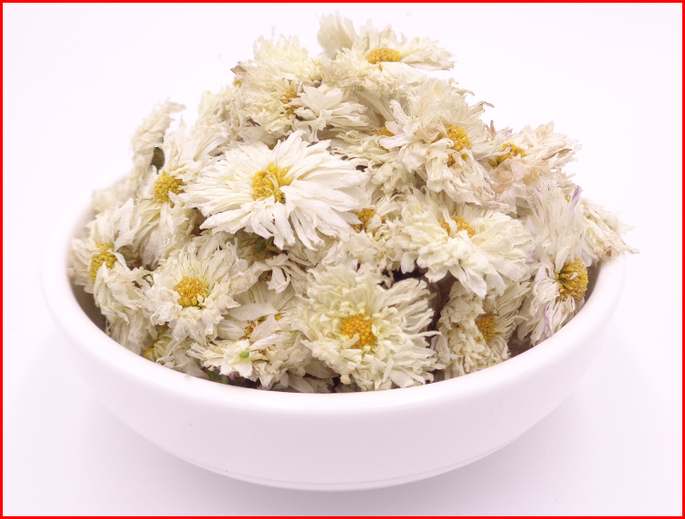 贡菊花茶桐乡杭白菊茶叶胎菊王花草茶野菊花可搭金银