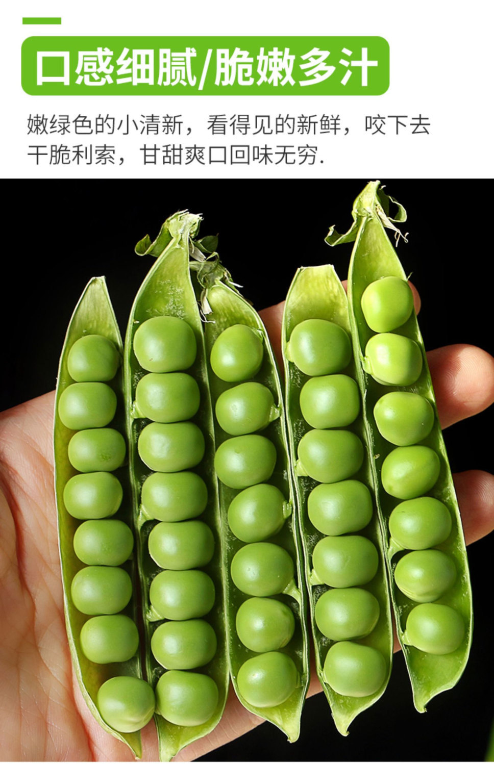 当季嫩豌豆新鲜现摘豌豆荚带壳水果豌豆角颗粒饱满一整箱910斤优选