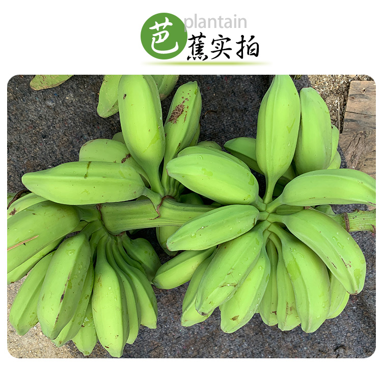 轻恋广东巴蕉青大焦5斤plantain新鲜水果自然熟香蕉香焦批发年货2500g