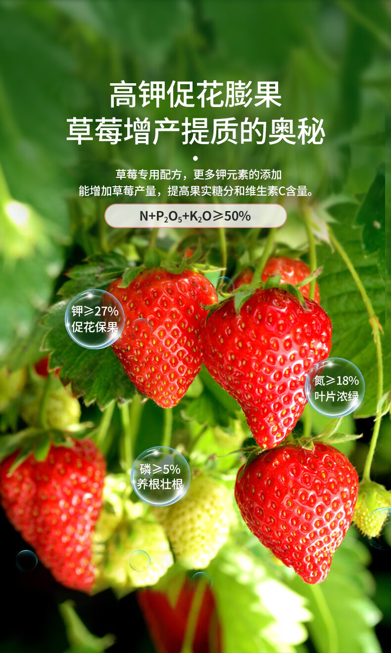 史丹利草莓专用复合肥肥料长效化肥有机叶面肥底肥蔬果肥草莓专用复合