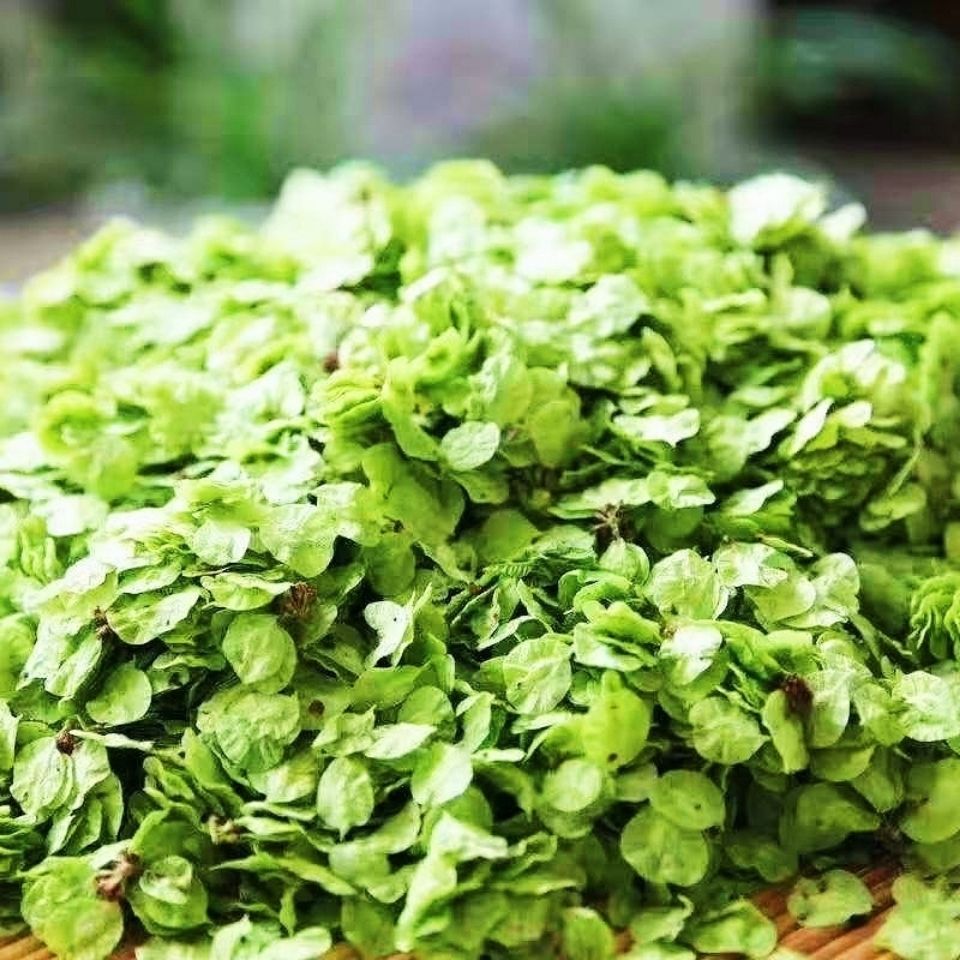 【jd滋补】2022年现摘新鲜榆钱叶榆钱窝窝菜野菜榆钱串子榆树叶1斤3斤