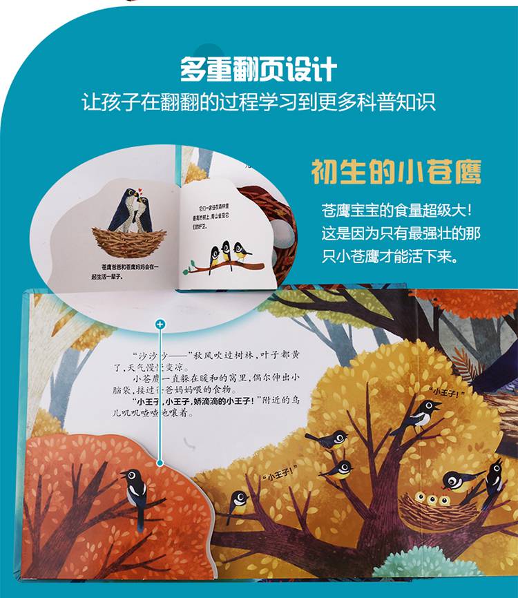 好好玩神奇的生命立体书第三辑全四册