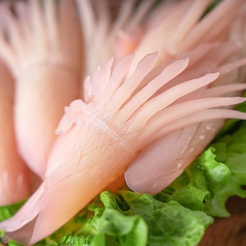 宏嘉睿 海鲜 新鲜火箭鱿鱼整条鱿鱼生鲜火锅食材海产批发 毛肚边角料5