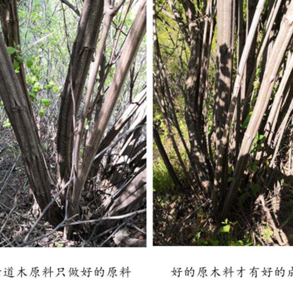 降龙木原木棍五台山六道木原木棍降龙木手串料防身短棍雕刻料diy 直径5公分长公分两根 图片价格品牌报价 京东