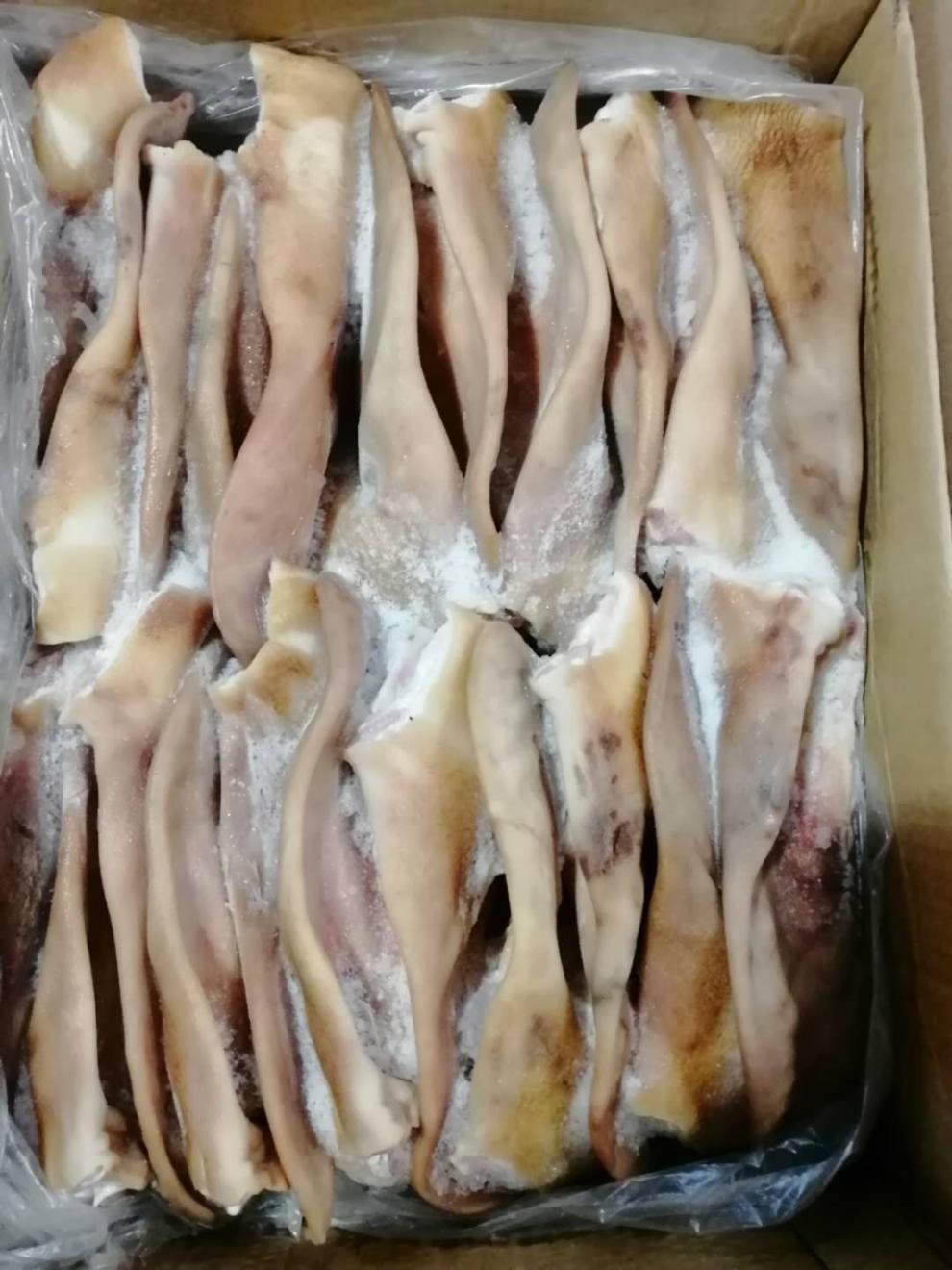 冷冻新鲜猪耳朵猪耳片干净无毛饭店卤菜店用净重19斤食材26-28片 力厨