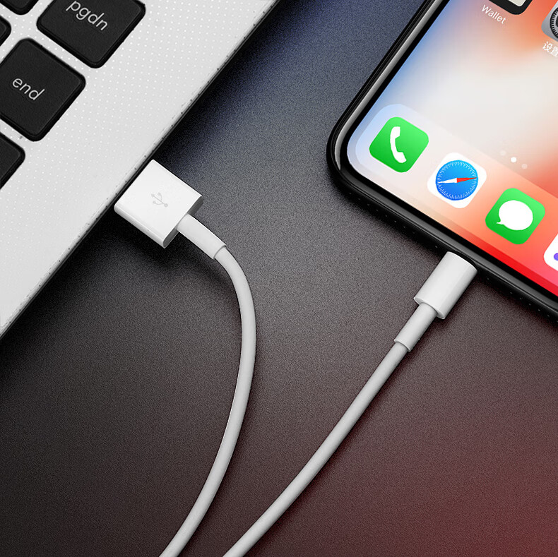 原装苹果充电头 ipad充电器iphone适用苹果2020数据线2021平板8x快充6