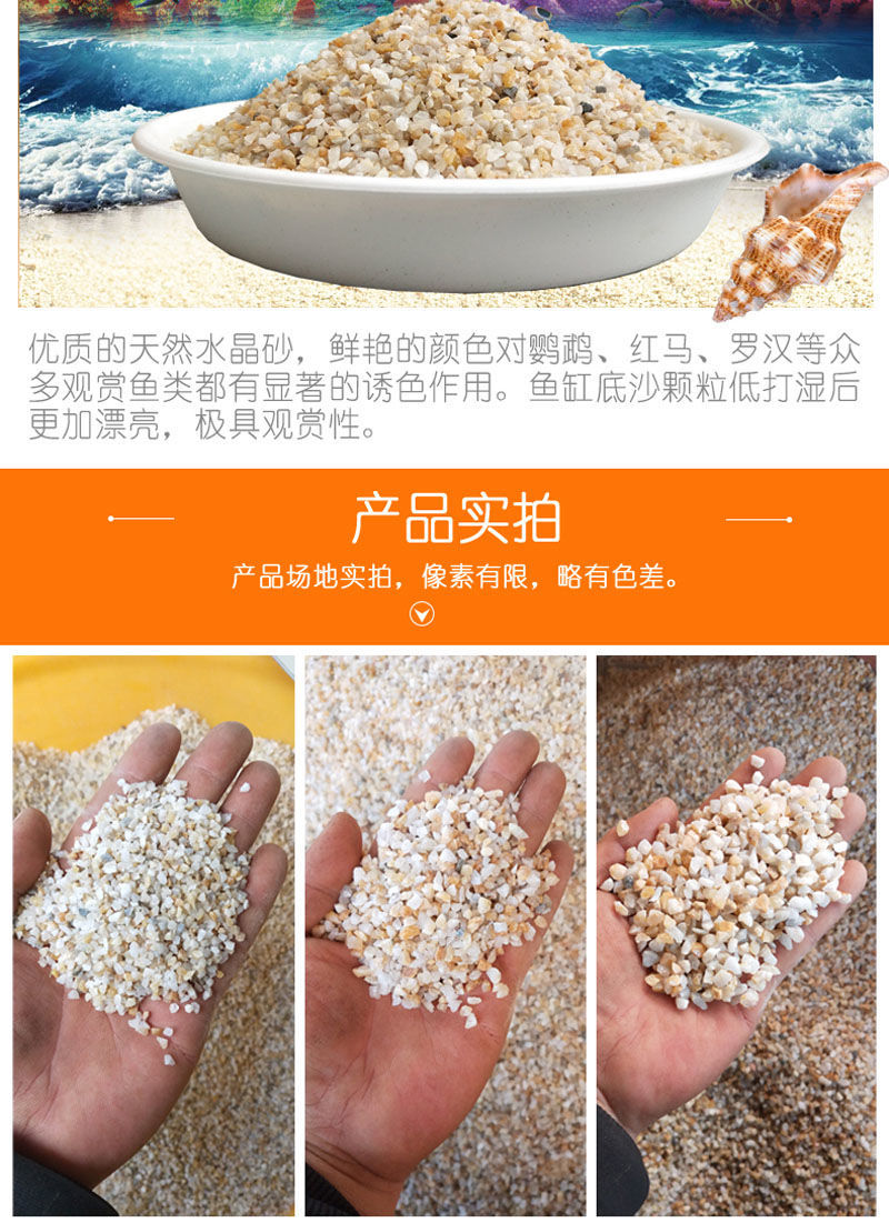 河沙天然水晶砂粗河沙多肉植物铺面鱼缸铺底水族沙碗莲装饰拌土颗粒顾