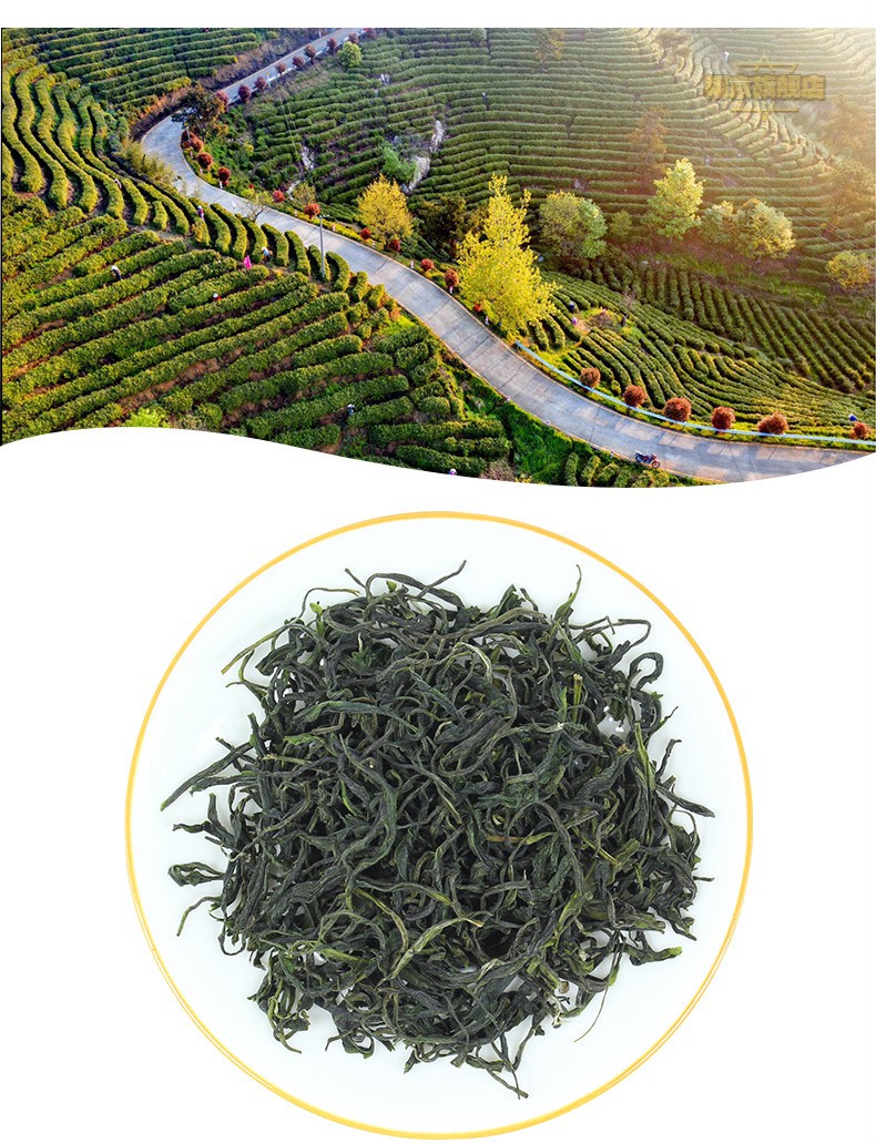 大悟绿茶湖北悟道茶半斤袋毛峰口粮茶雨前一级毛尖绿茶本地2021新茶