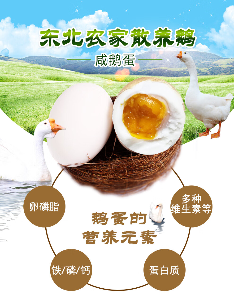 咸熟鹅蛋6枚120-140克江苏农家腌制大颗熟的鹅蛋