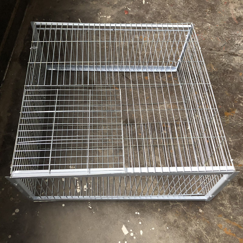 京选推荐新款天落笼捉鸽子神器四面进口只进不出鸽子笼撞门笼螺丝固定