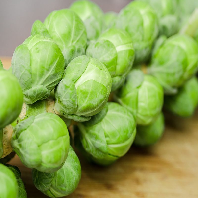 好新鲜生态农场孢子甘蓝西餐蔬菜沙拉食材小包菜抱子甘蓝小卷心菜1000