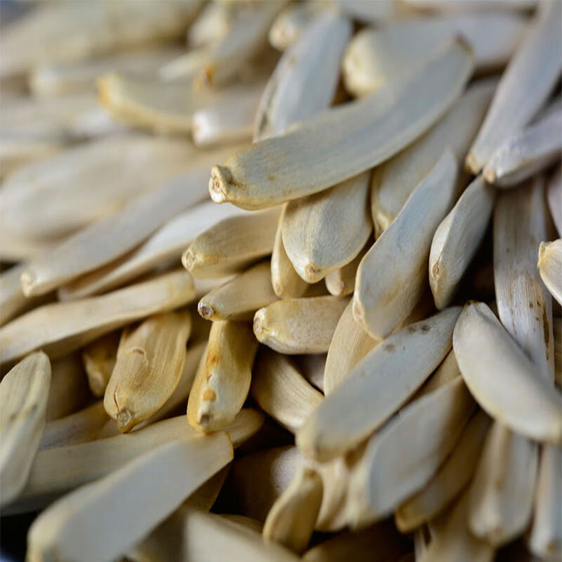 味小府现炒长瓜子新疆特产牙签瓜子 象牙瓜子马牙瓜子细长白葵瓜籽 新