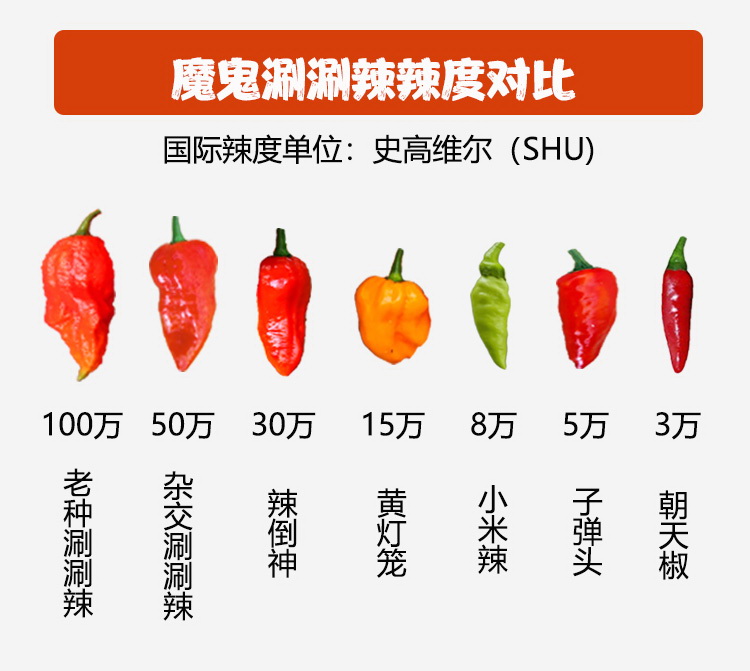 龙息辣椒 新货印度魔鬼椒德宏涮涮辣死神变态辣魔鬼辣椒龙息断魂椒特