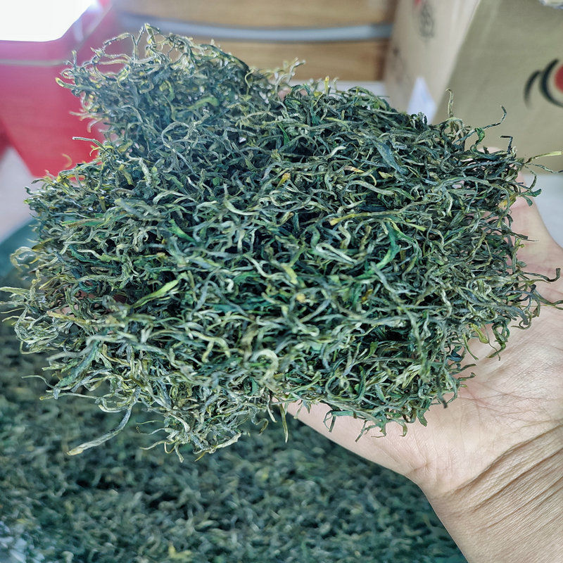 2021新茶绿茶池州特产高山云雾富硒茶霄坑五队毛峰礼盒装罐装50克袋试