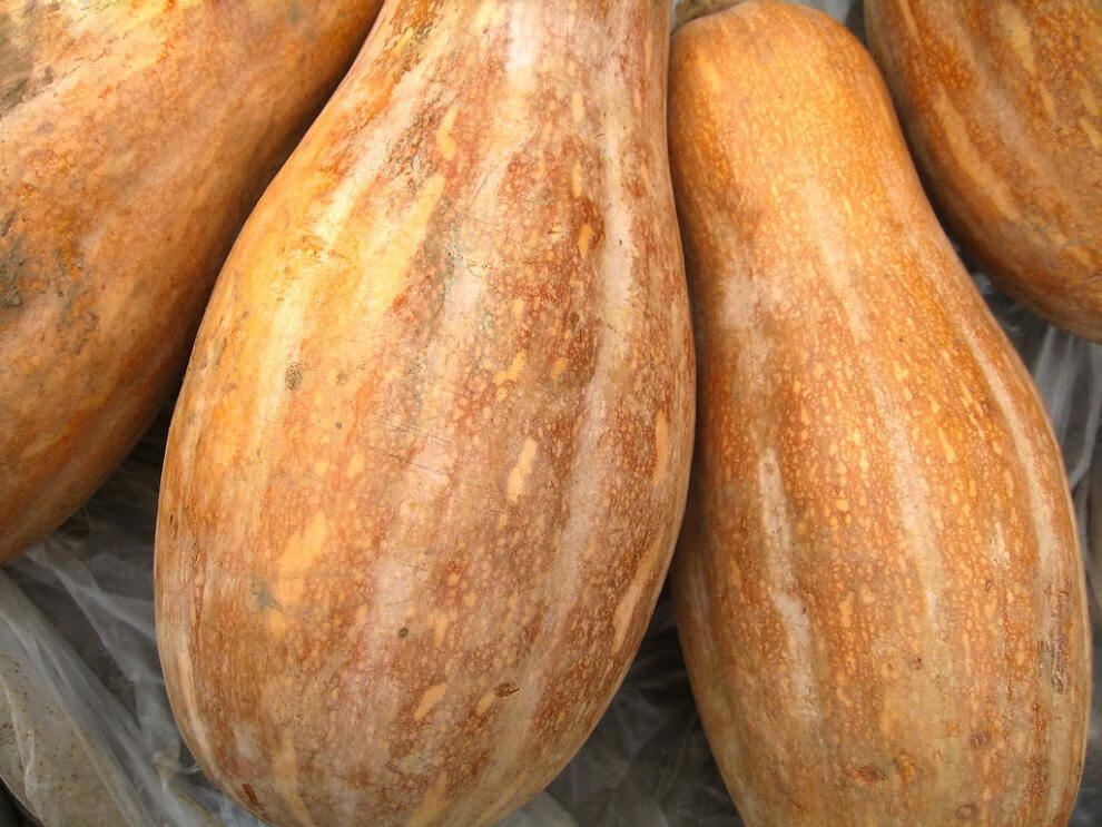 2020新鲜黄南瓜宝宝辅食农家粉糯老南瓜老品种长南瓜5斤 京东生鲜 5斤