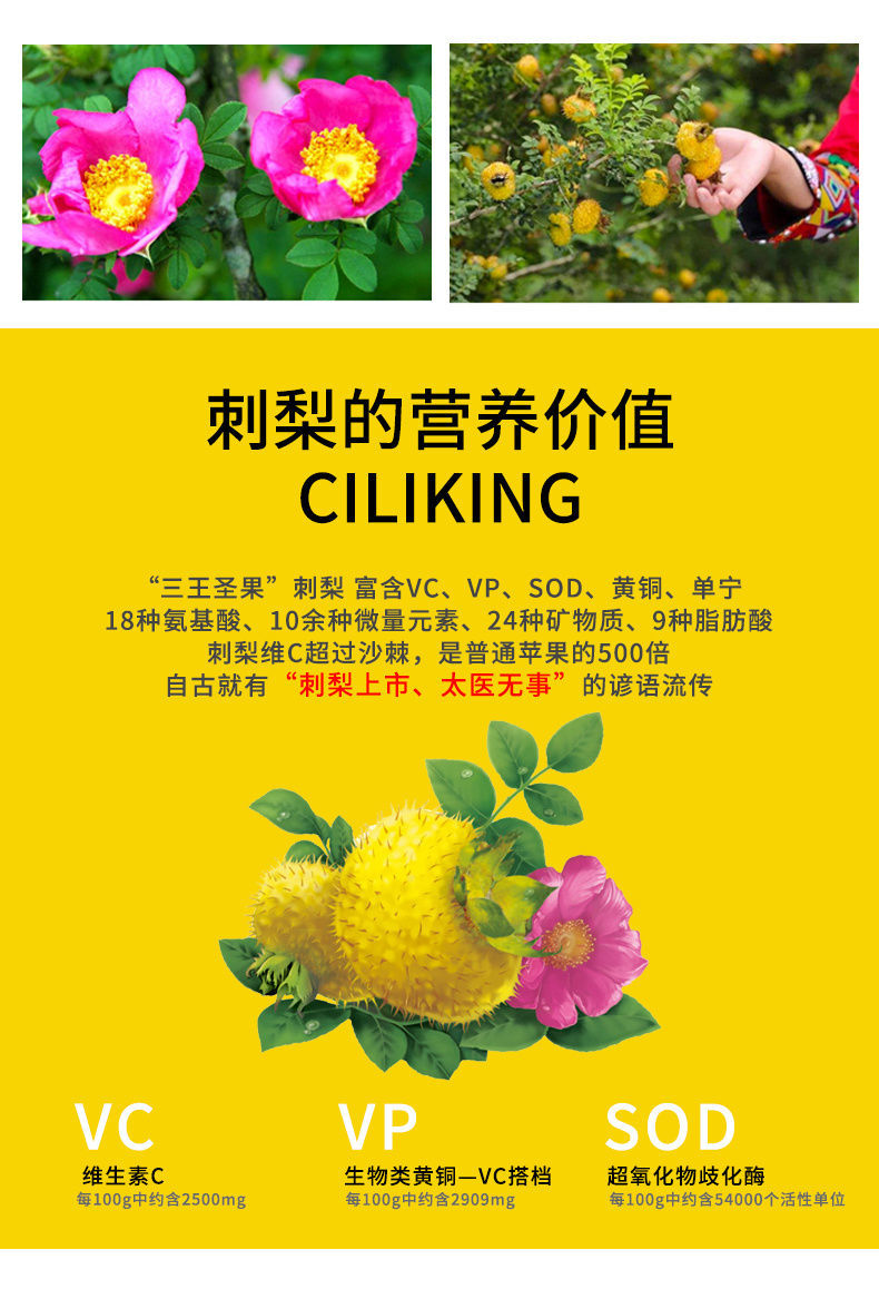 刺梨干果250g贵州特产刺梨鲜果泡酒泡水刺梨茶果脯野刺梨汁 野生中级