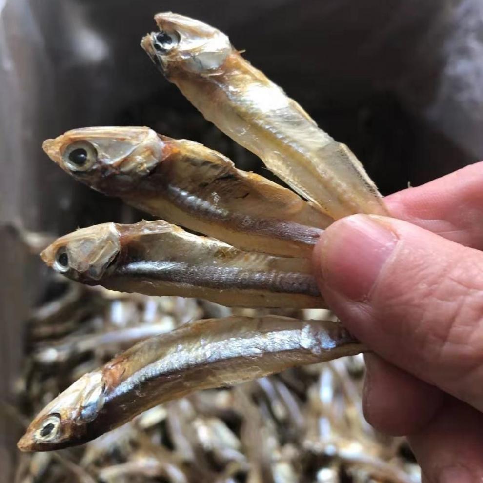 新货淡干海燕鱼公干鱼白帆鱼丁香鱼干小鱼干海鲜干货 1500g【图片