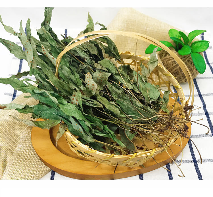 伟博野生鸭脚草新鲜金鸡脚鹅掌金星草三角风中药材500克鸭脚掌煲汤干