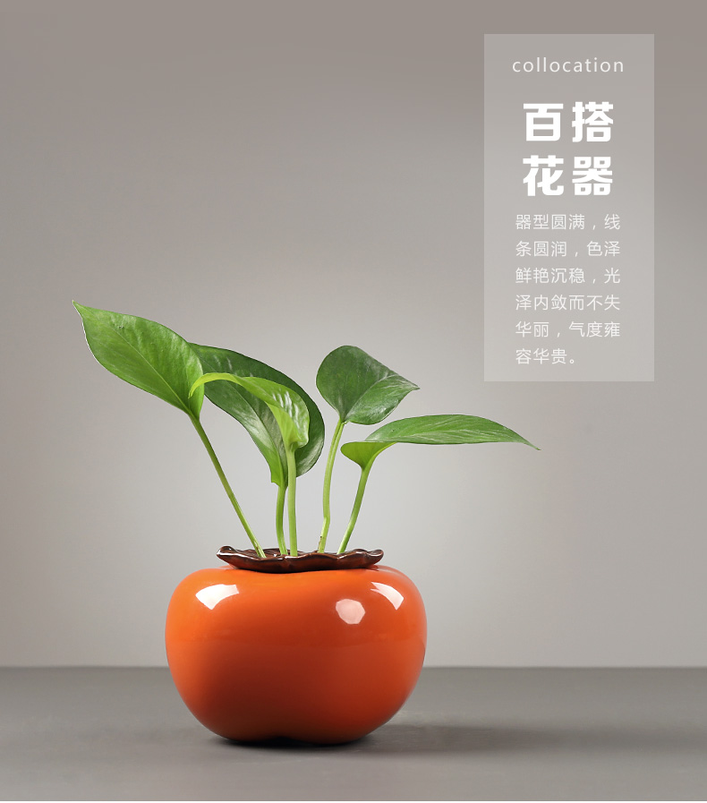 创意绿萝水培花瓶器皿鲜花插花瓶子水养植物花盆容器桌面装饰摆件 柿