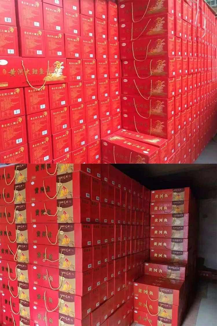 5折河南特产鼎盛九组黄河鲤鱼鲢鱼礼盒装即食麻辣鱼腊鱼淡水鱼1200g