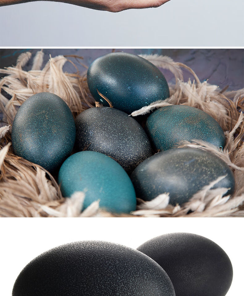 澳洲鸵鸟蛋鸸鹋新鲜食用蛋小蛋送礼节日鸵鸟蛋新鲜迷你蛋散装共300克