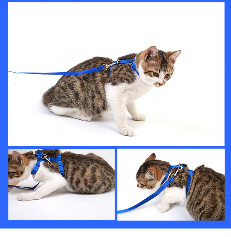 溜猫绳防挣脱胸背带猫咪牵引绳拴猫绳猫链子牵引带猫绳可调节猫绳 1号