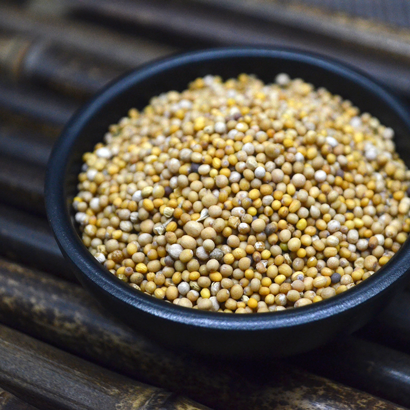 中药材野生白芥子500g克 新货白介子 辣菜子 芥菜子 白芥籽茶 默认