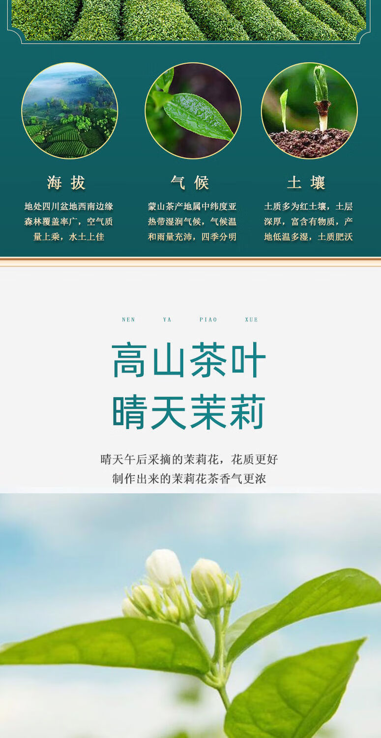 fghgf 飘雪2022年新茶浓香型碧耐泡嫩芽四川茶叶蒙顶山茉莉花茶散装