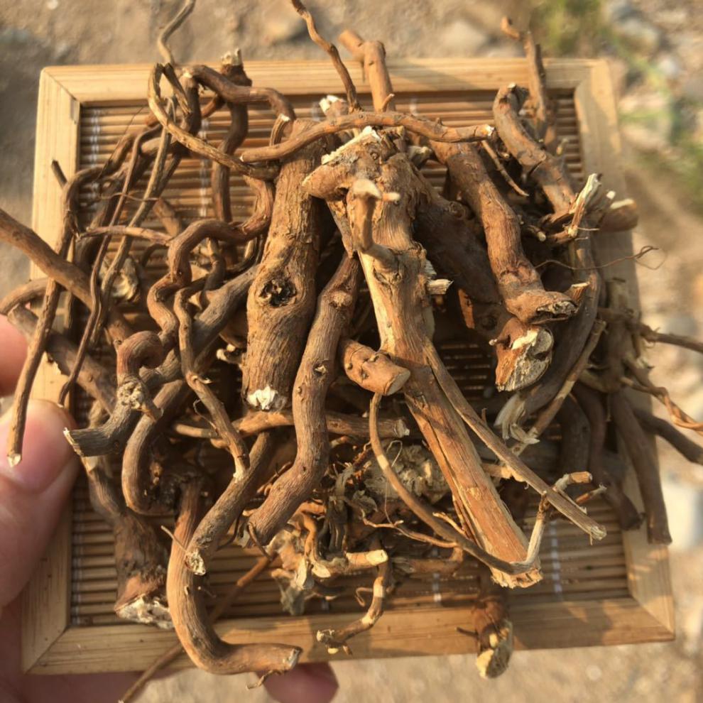 东北野生托莫根树莓根小兴安岭食品250g托摩根脱莫根大兴安岭 纯野生