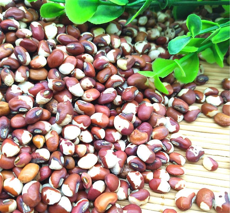 新豇豆花豇豆杂粮花豆子饭豆八宝粥豇豆熊猫豆农家自种2500g