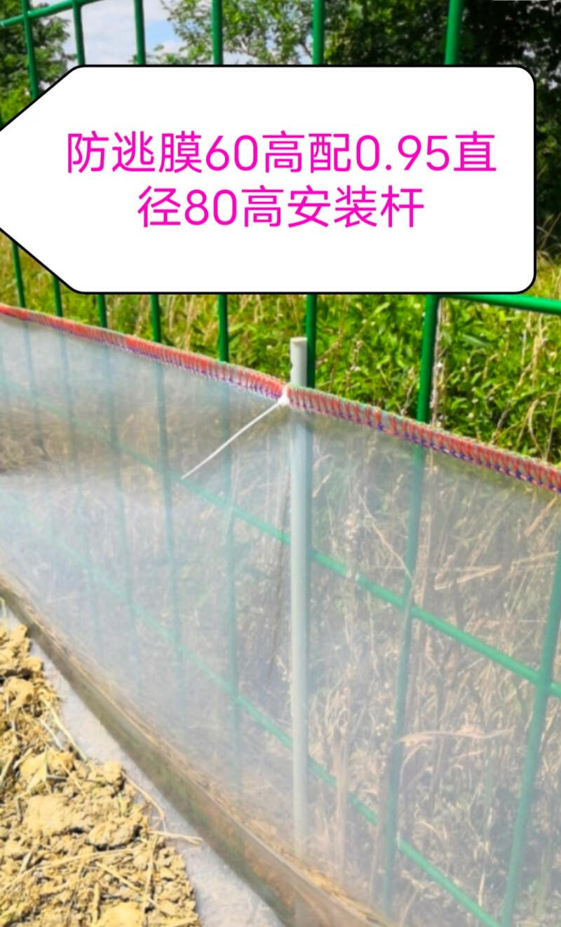 防逃网 虾塘养殖小龙虾防逃网围网支撑杆青蛙螃蟹塘甲鱼防逃膜板渔