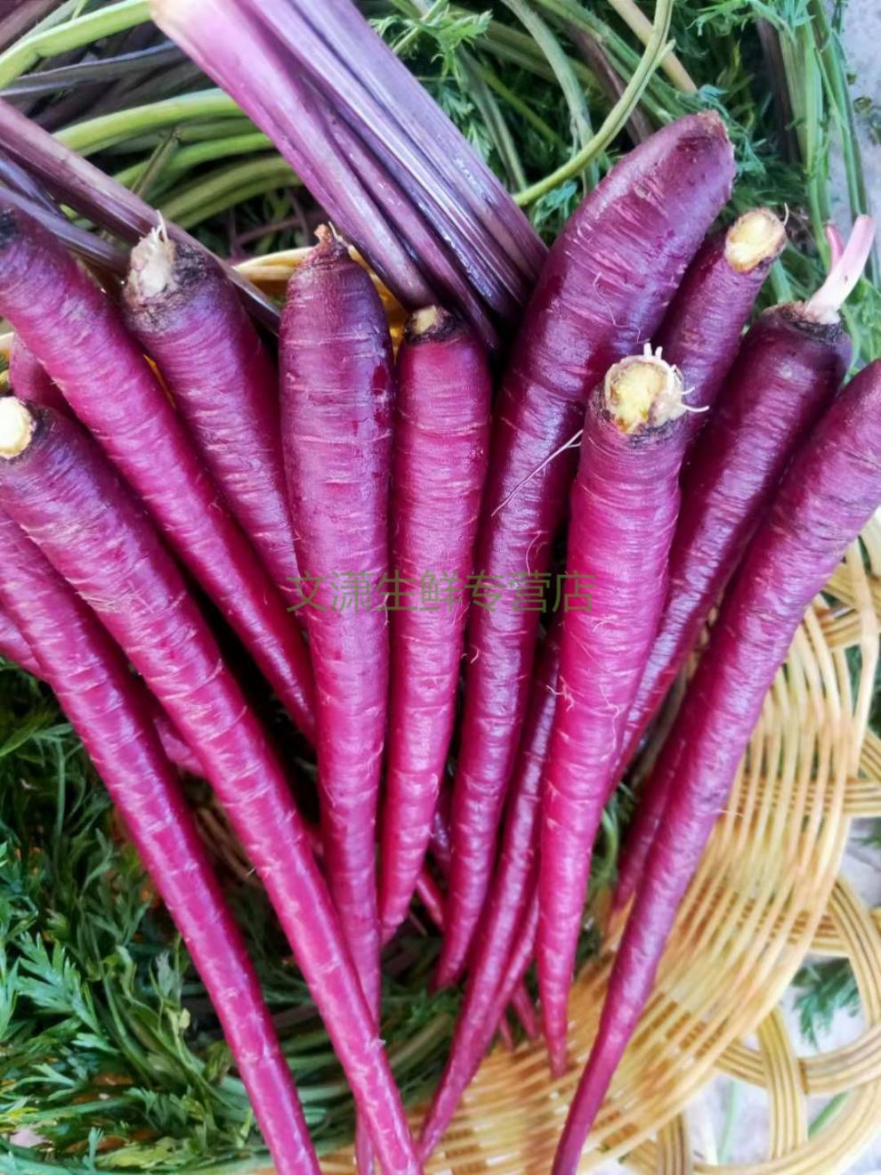 云南大理农家紫胡萝卜野生迷你小胡萝卜生吃水果紫玉新鲜萝卜 大号紫