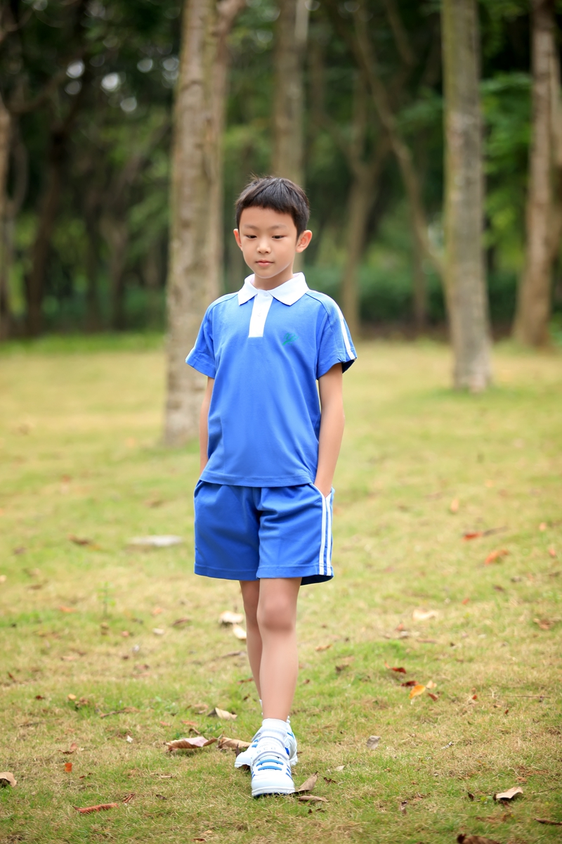 深圳学生上学装备 深圳莎臣豹校服 小学生夏季运男运动服 上衣 150cm