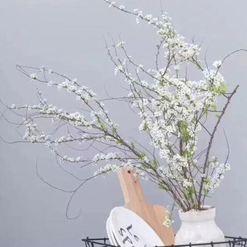 雪柳干支水插花雪柳鲜花喷雪花珍珠梅绣线菊z1干支雪柳5支80厘米不含