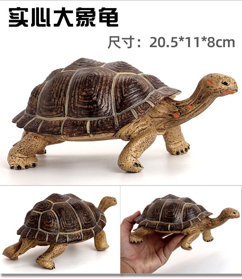 陆龟模型 仿真实心鳄龟乌龟模型玩具象陆龟海龟静态塑胶动物儿童认知